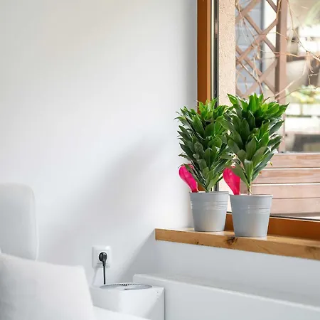 Piekny Z Ogrodkiem I Tarasem & Parking By Renters Apartamento *